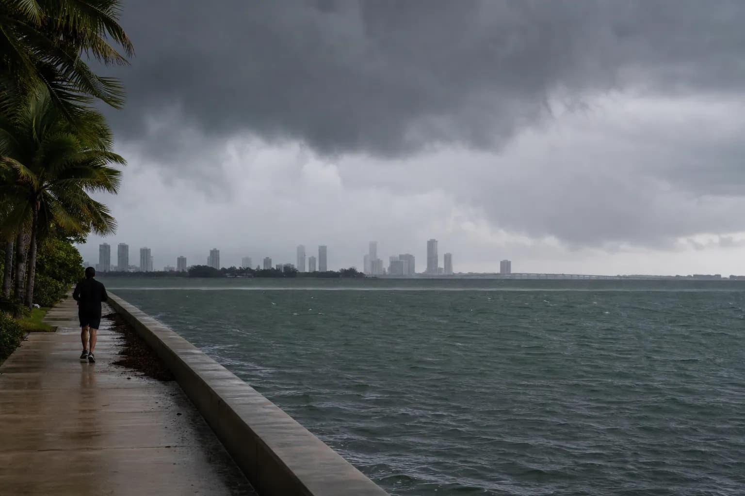 Distinct real-scene reference image for Miami: tropical storm weather forecast: Miami indoor plan with backups