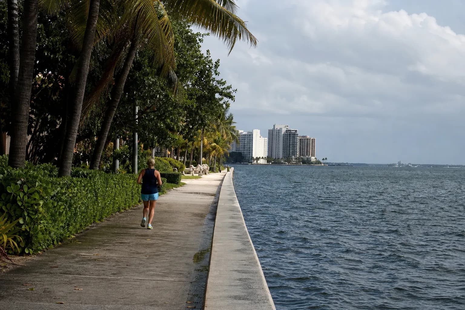 farmer's almanac winter forecast 2026: Miami guide for a low-friction day — local scene detail