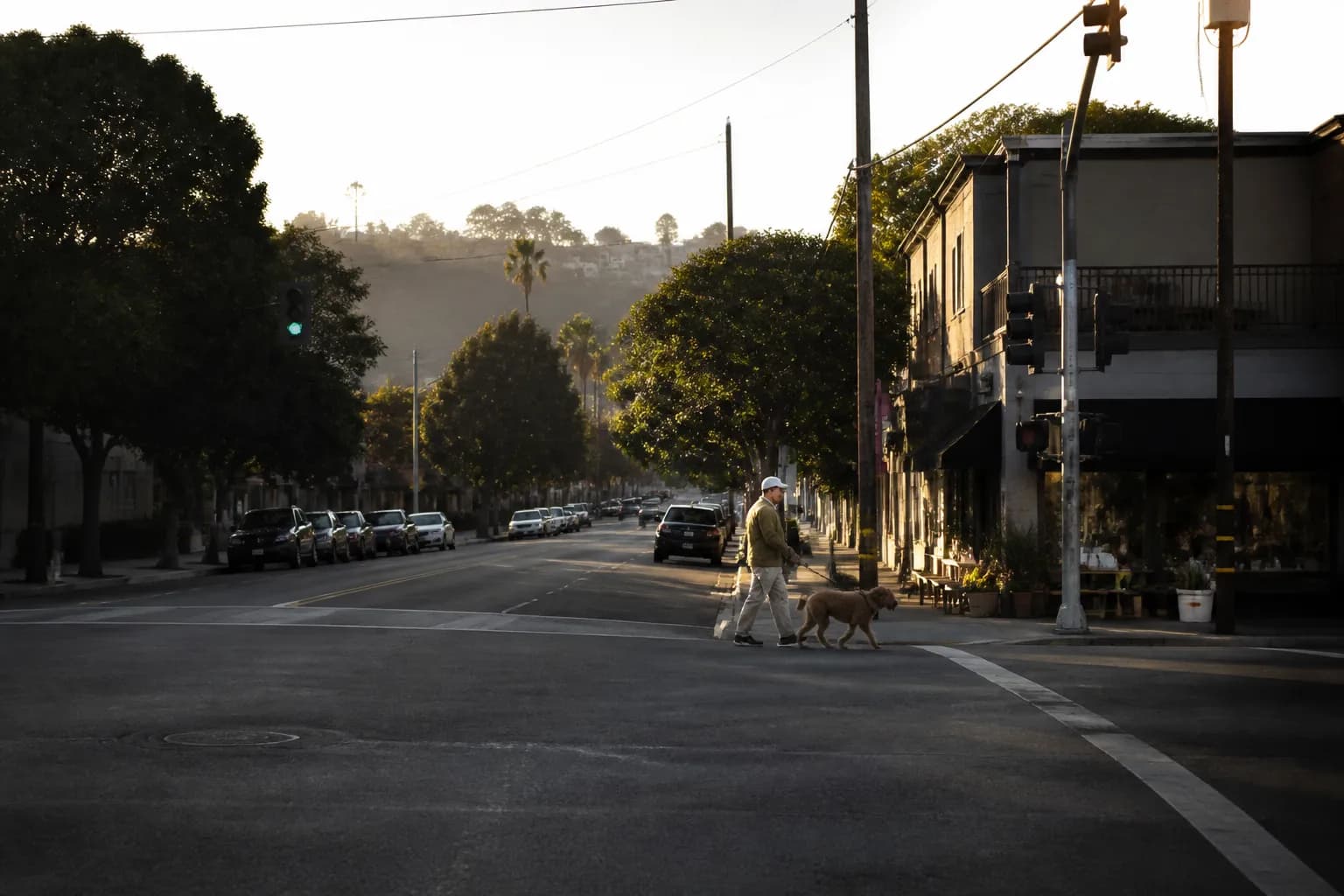 Distinct real-scene reference image for LA local plan around ai