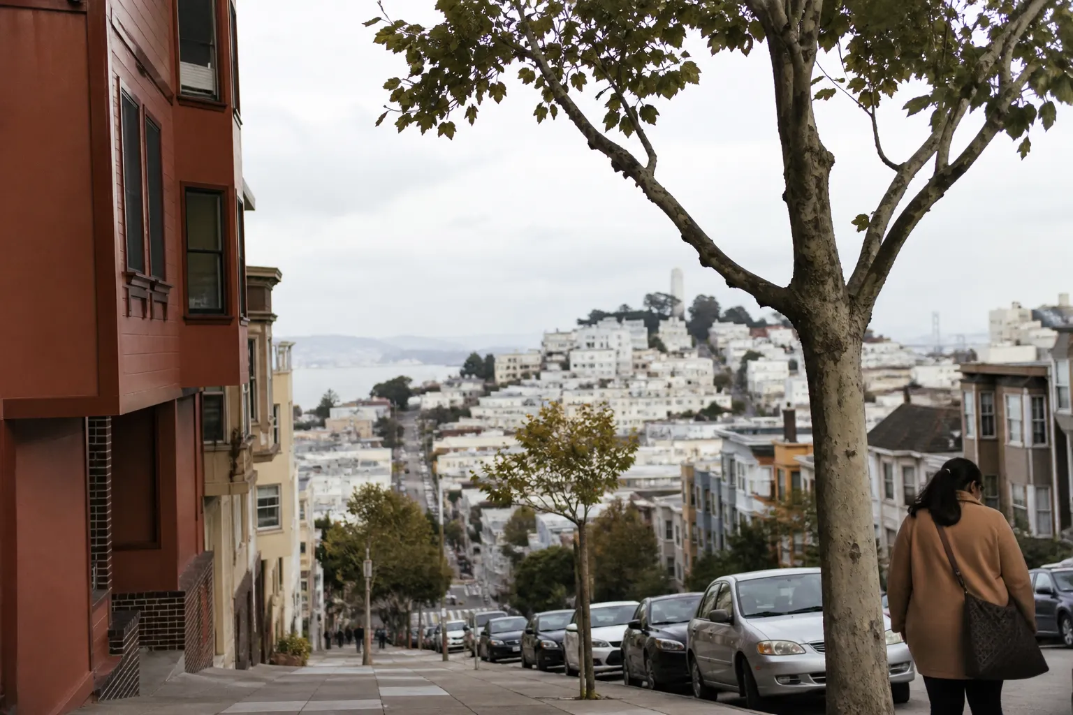 lena dunham: SF local plan that stays flexible — local scene detail