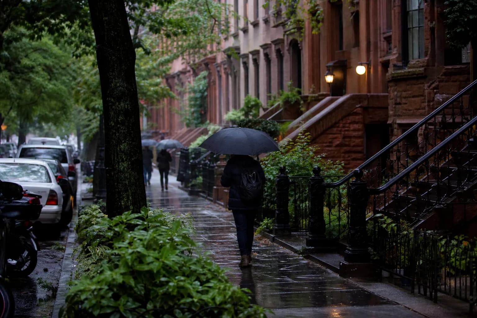 tropical storm weather forecast: NYC weekend plan with real backups — local scene detail
