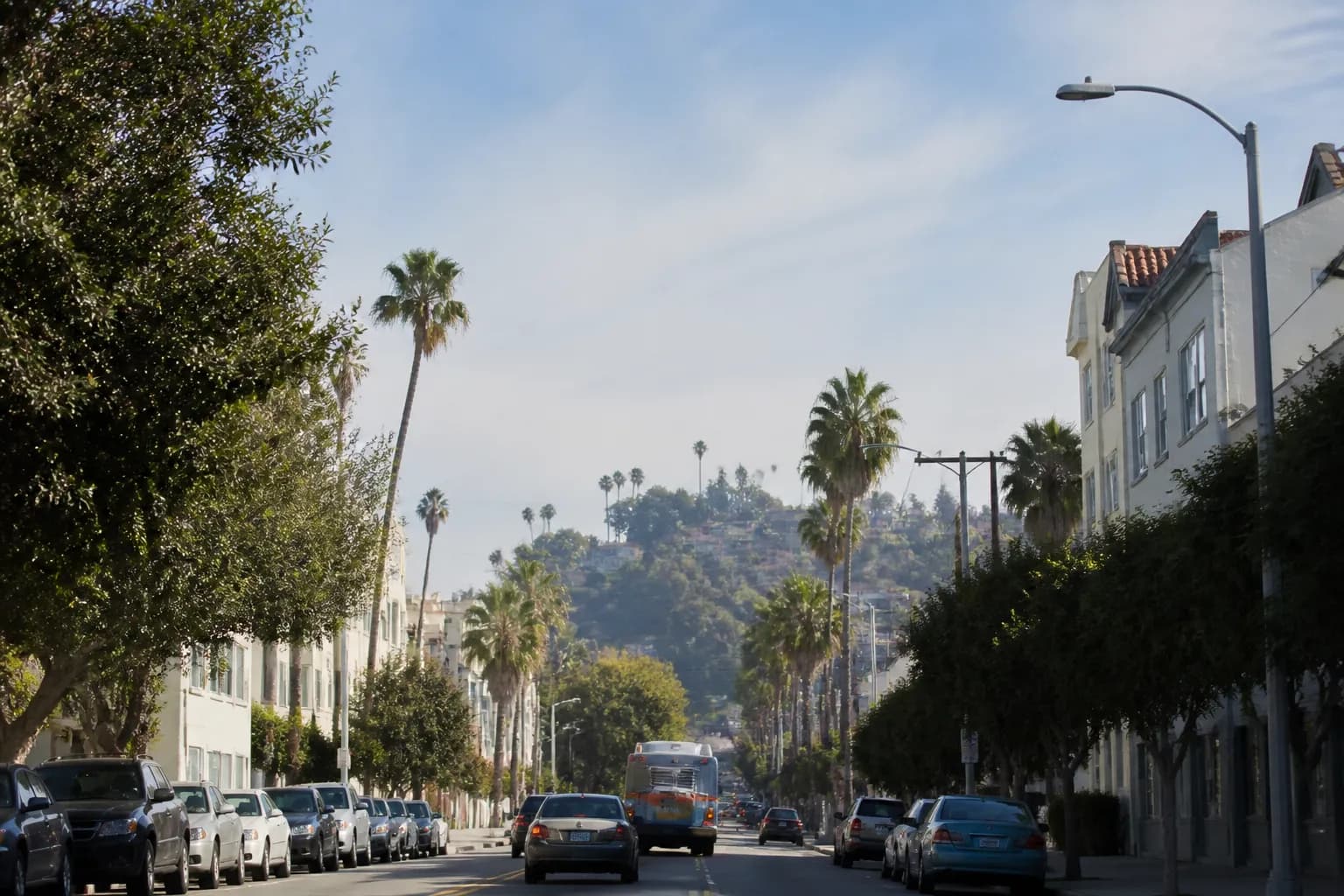 Distinct real-scene reference image for LA local plan around csco stock