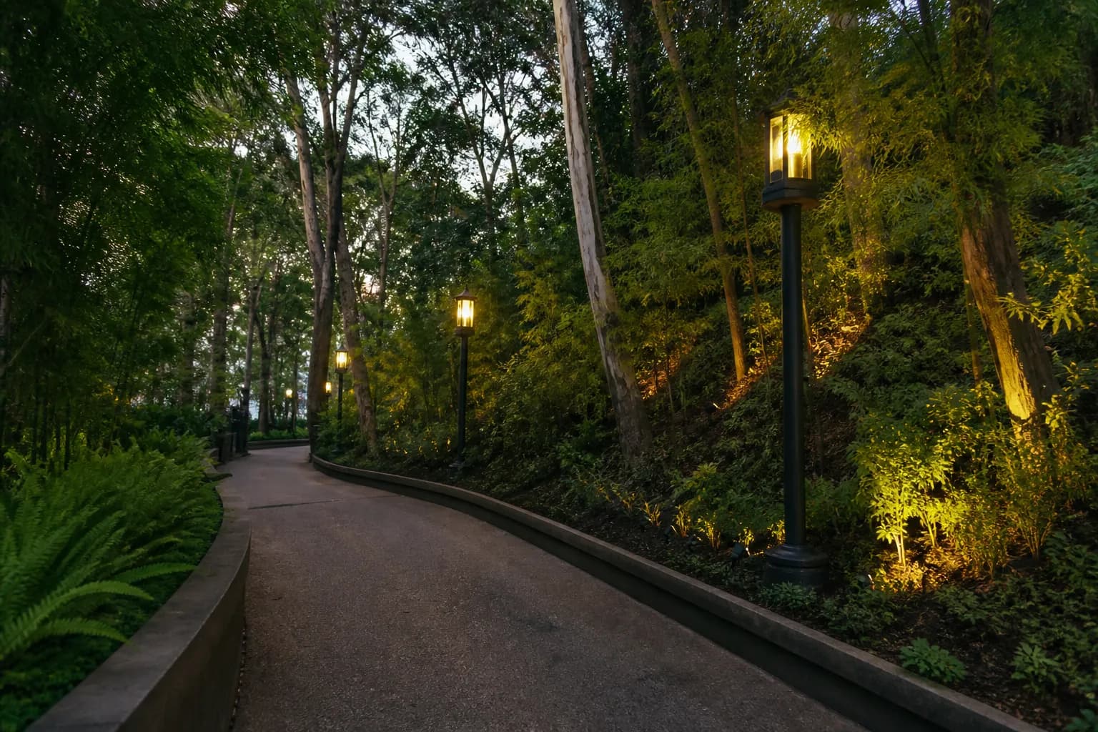 A quiet, paved walking path lined with green foliage and soft outdoor lighting leading up a hill.