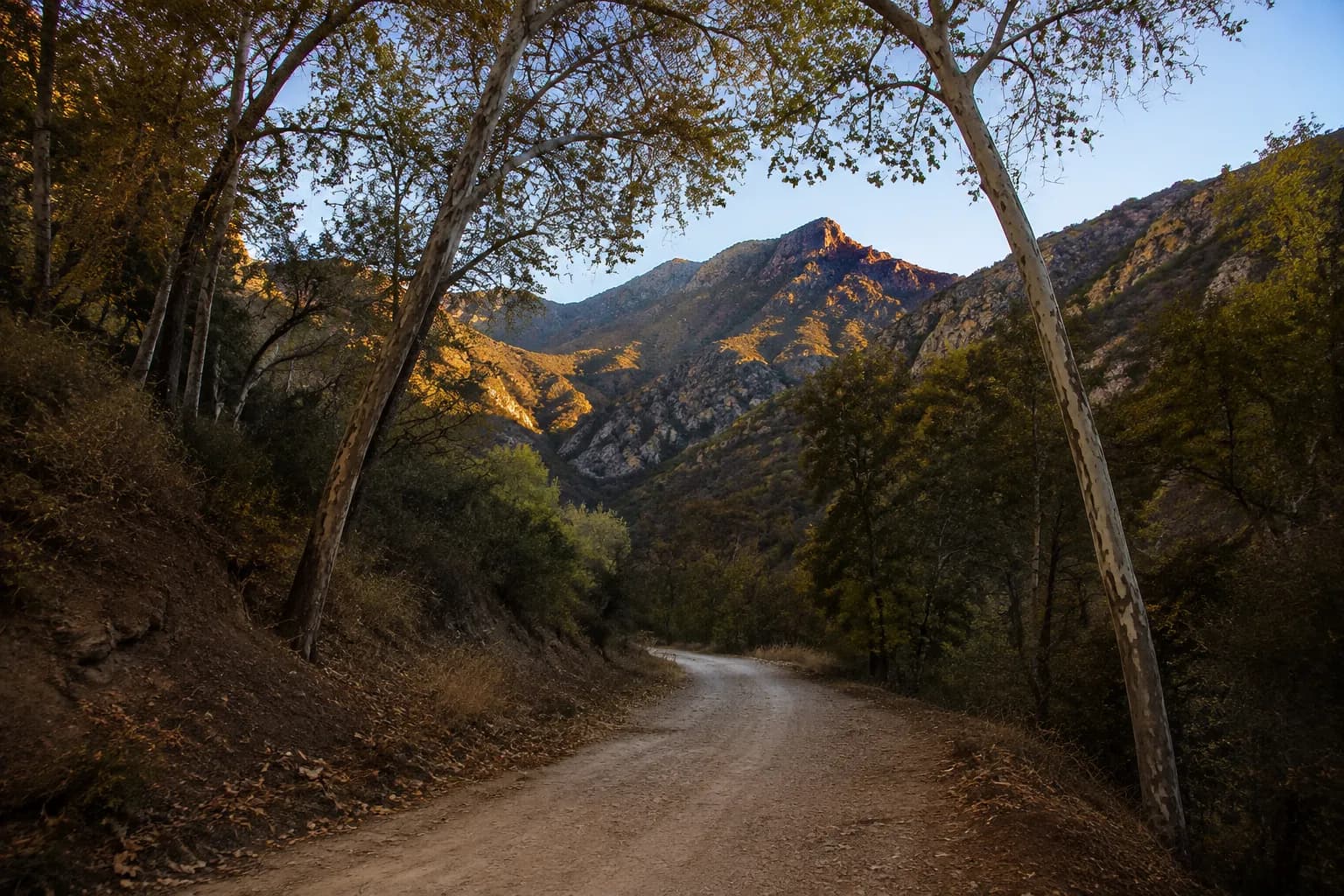 Fire road winding into a San Gabriel Mountains canyon in early morning light