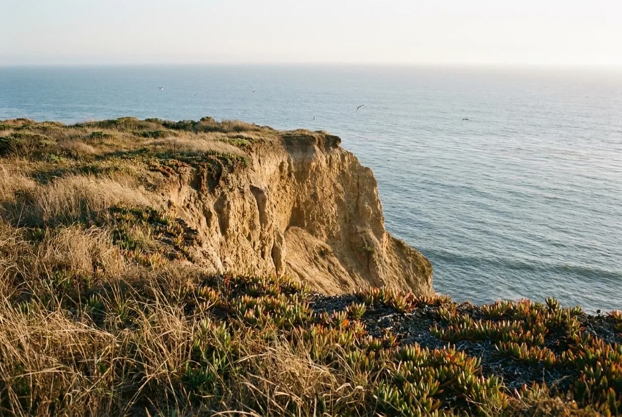 A grassy clifftop edge dropping to open ocean with a distant horizon