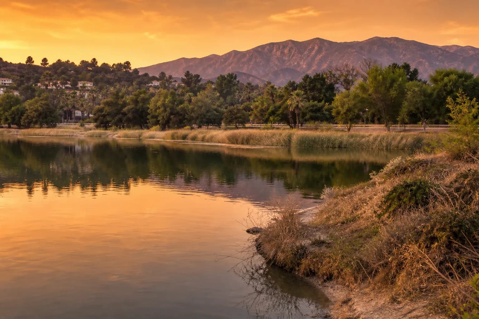 The peaceful Silver Lake Reservoir Meadow at golden hour with reflections on the water.