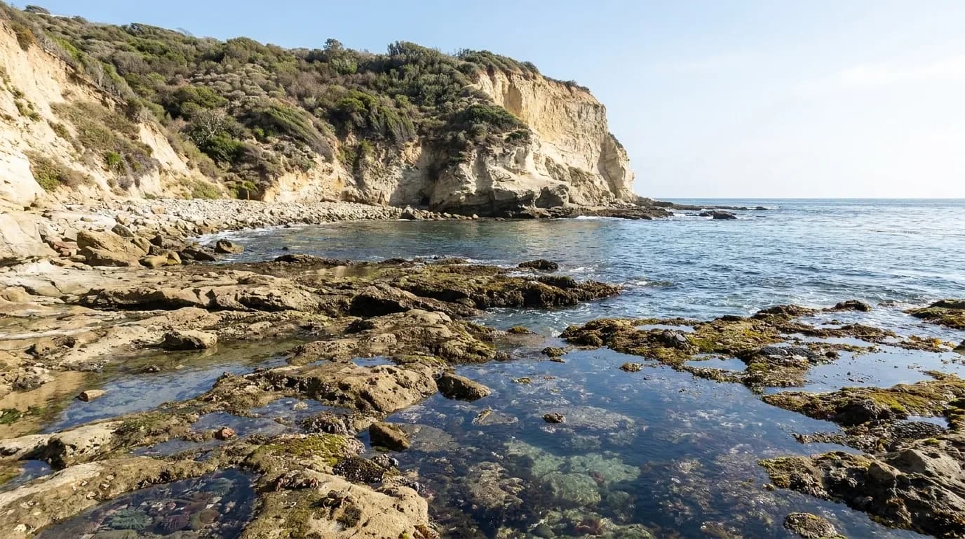 A rocky cove below high coastal bluffs in Palos Verdes with exposed tide pools and the Pacific beyond.