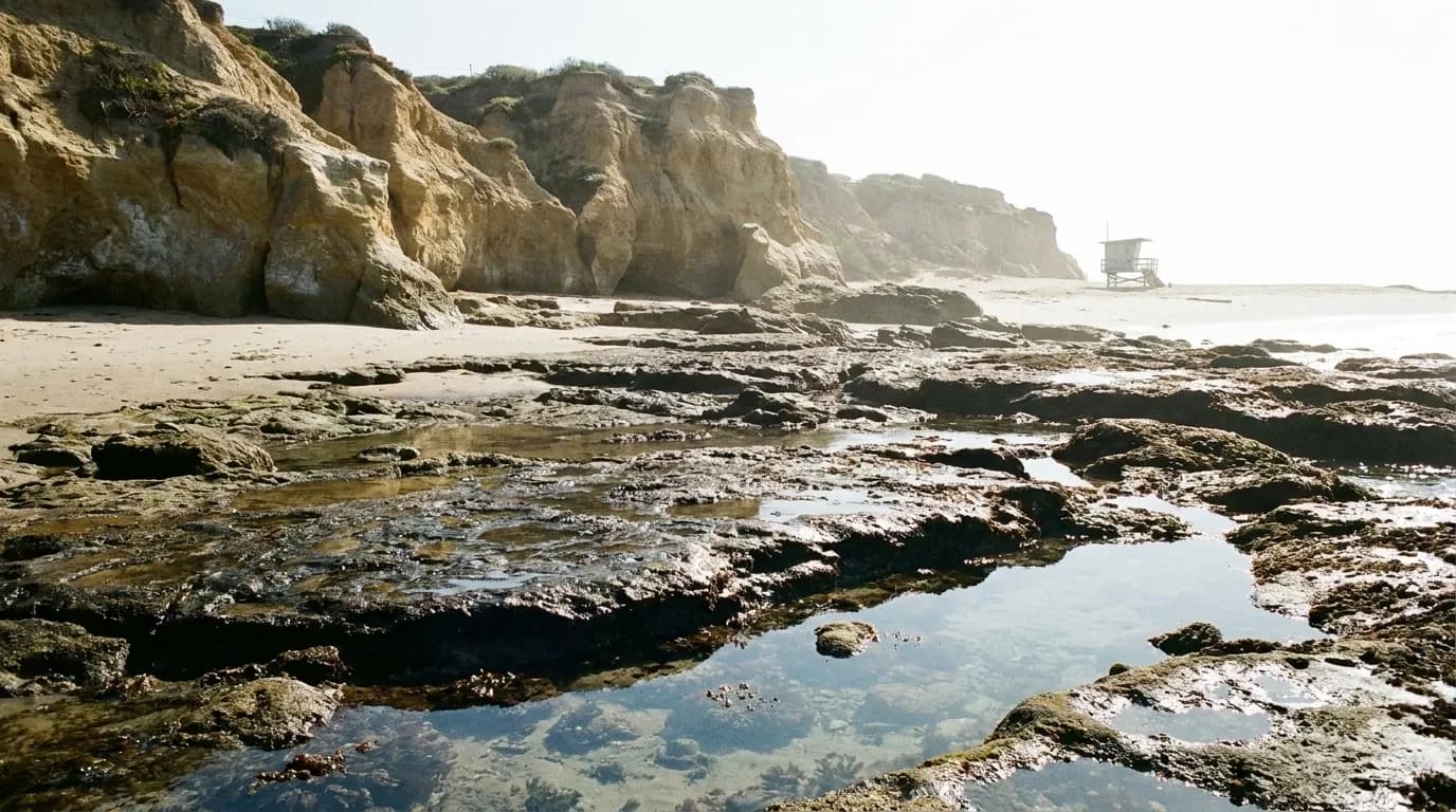 A rocky Malibu beach at low tide with reef shelves exposed and cliffs rising behind the sand.