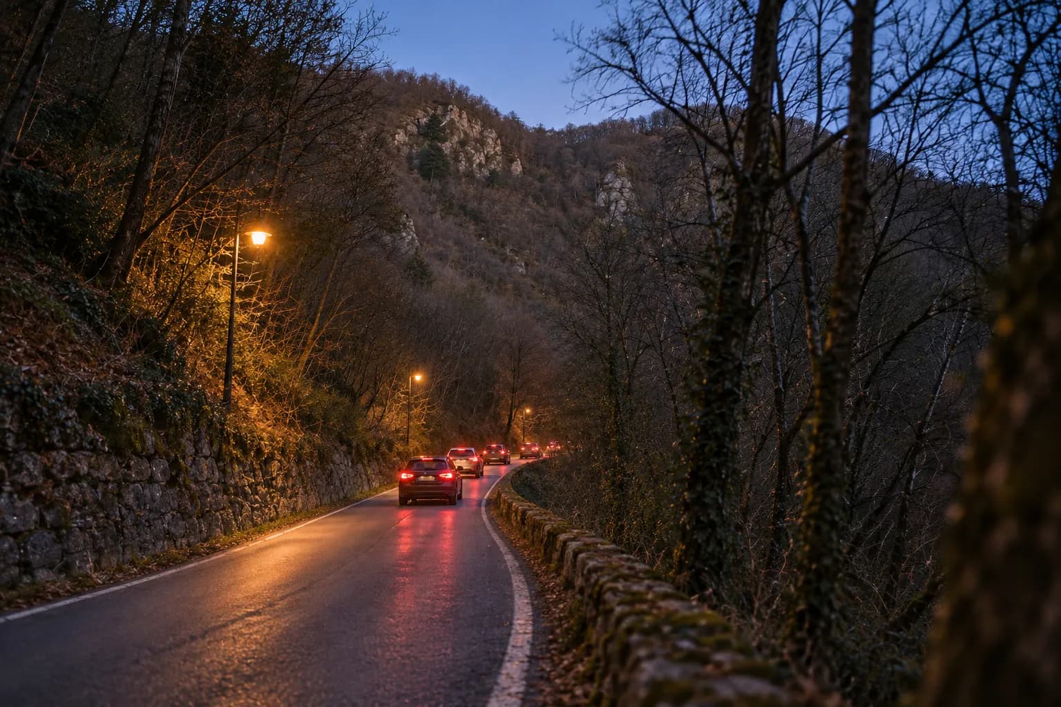 A tree-lined road winding up a hillside at dusk