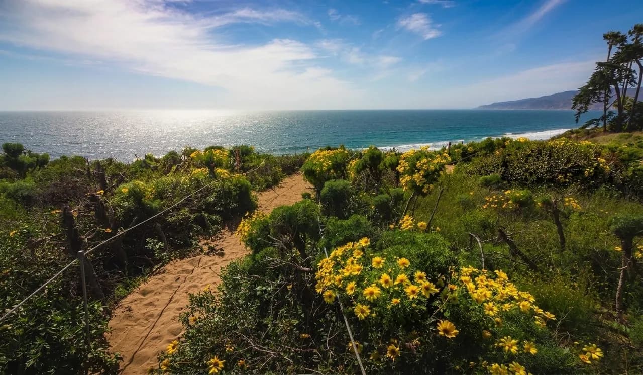 A coastal bluff trail above the Pacific with ocean haze and scrubby Malibu hills