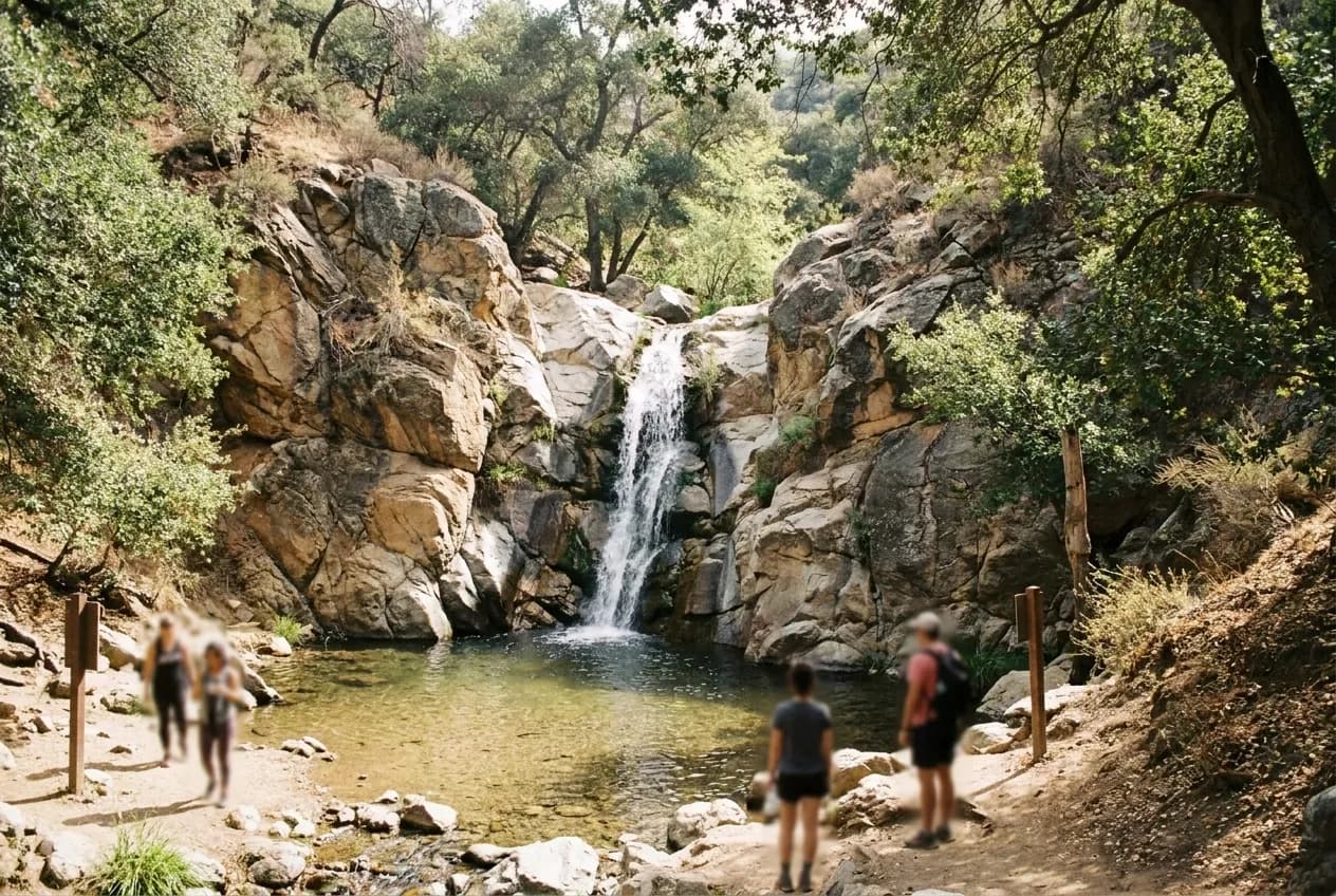 Water falling into a shallow pool between canyon rocks under tree cover