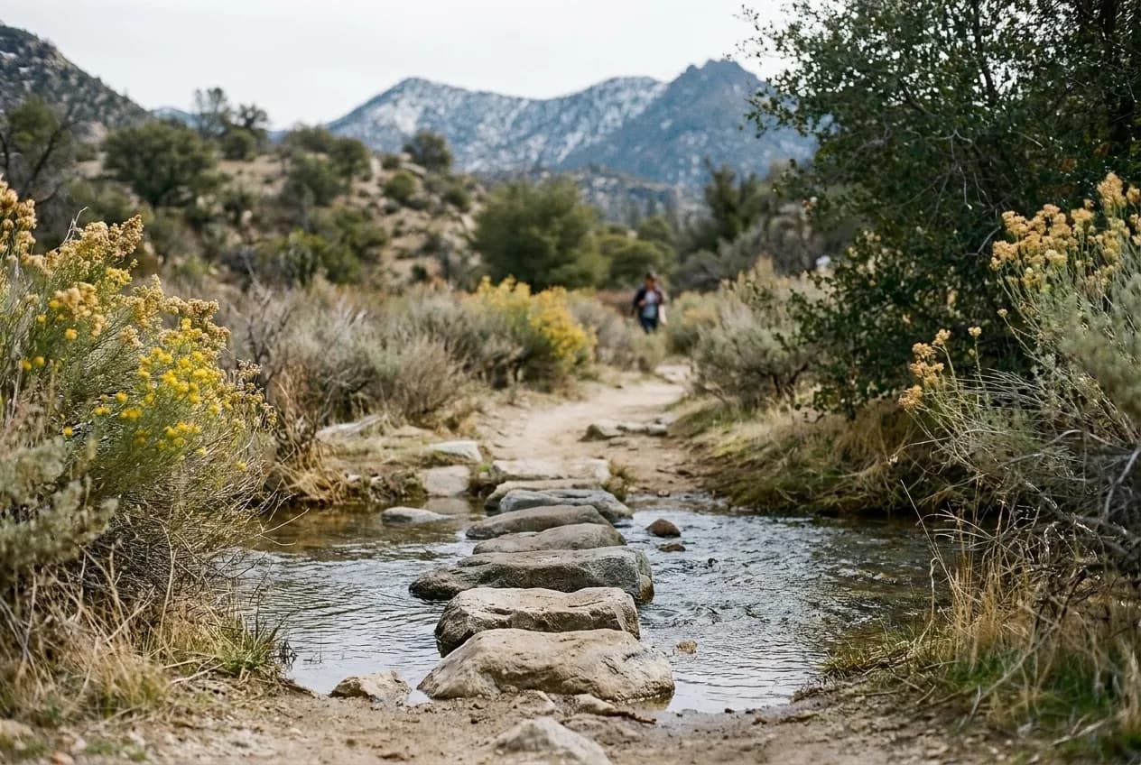A narrow canyon trail crossing a shallow creek over stepping stones