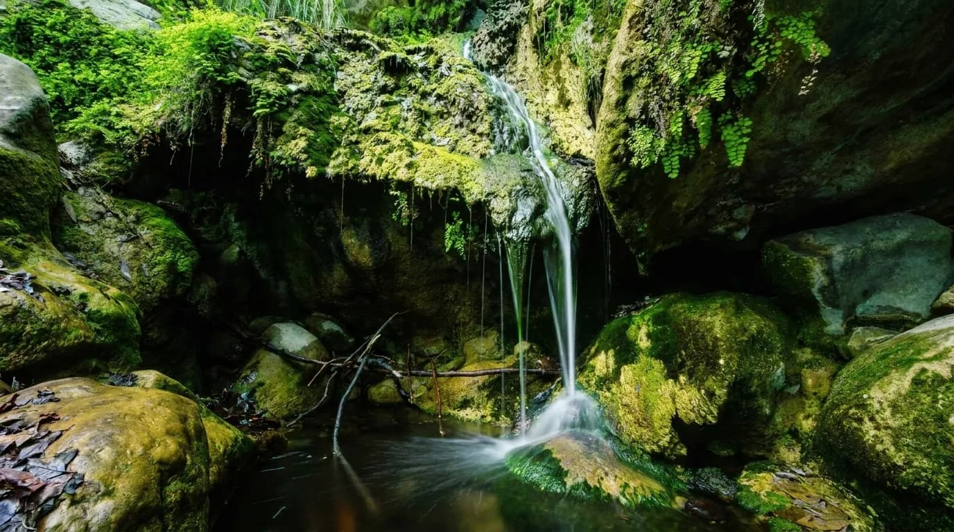 A slender waterfall dropping down a mossy rock face into a shallow pool in a shaded California canyon.