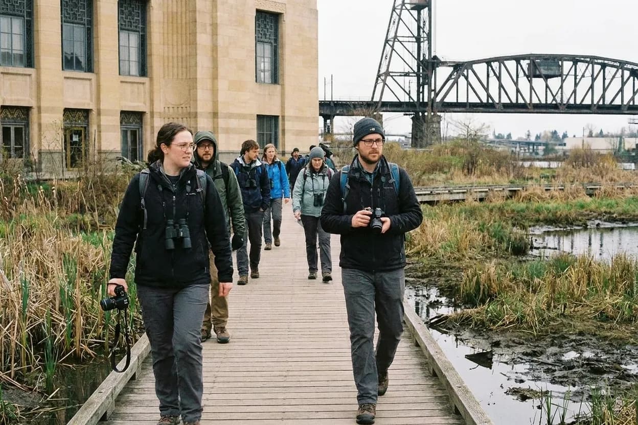NYC experience scene for Little Hell Gate Salt Marsh: The Secret Wetland Walk on Randall's Island