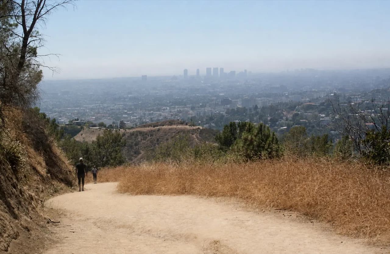 Open Los Angeles hillside park with the basin spread out below