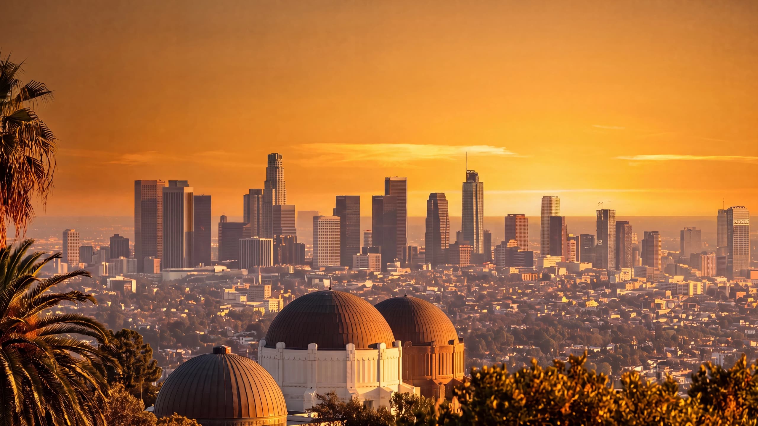 Los Angeles skyline