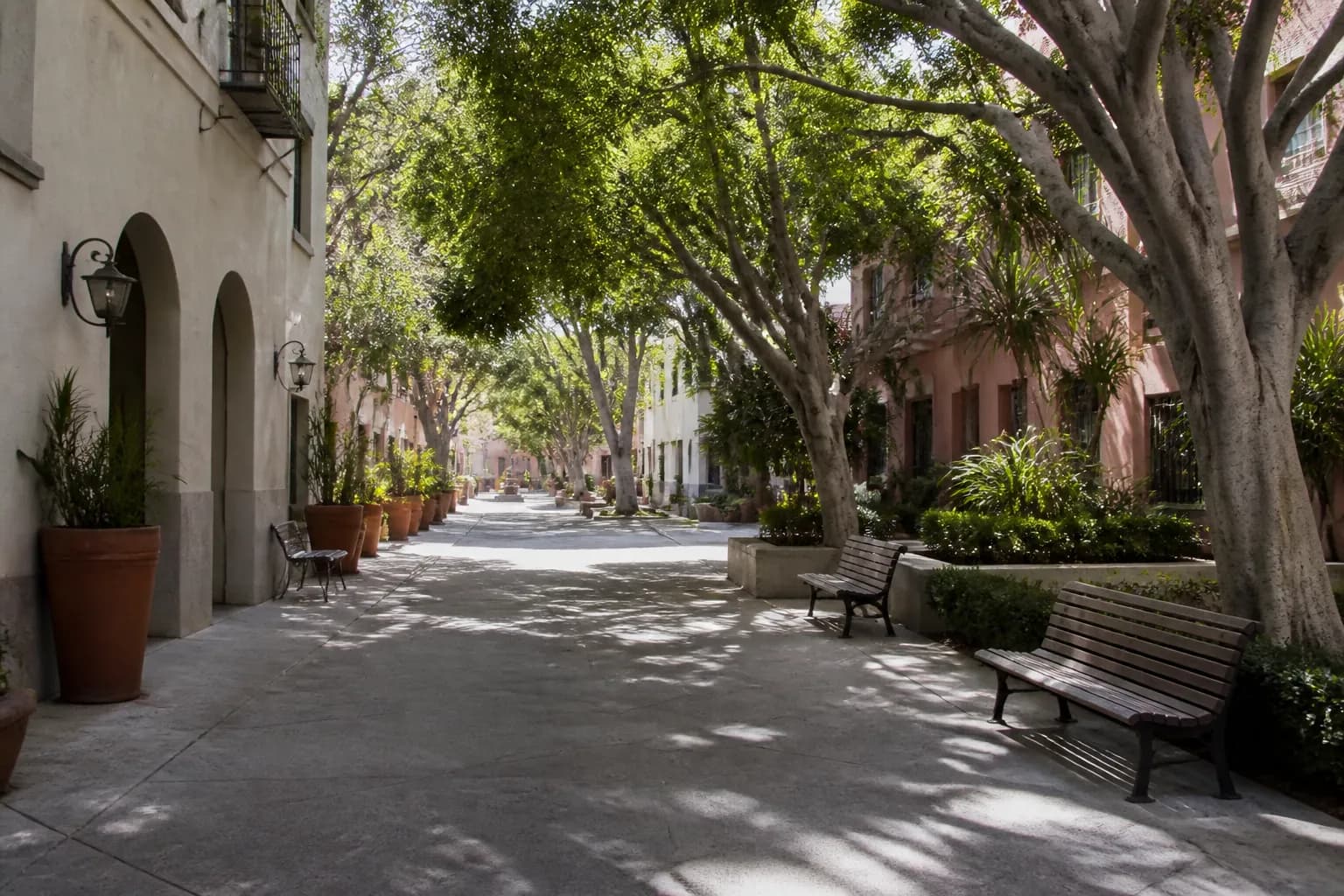 A shaded pedestrian courtyard in Los Angeles with benches, trees, and quiet morning light