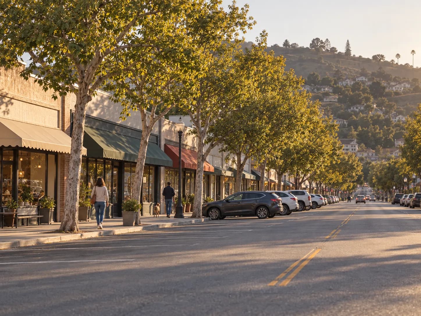 Low-rise neighbourhood commercial street with single-storey shopfronts, mature street trees and hills rising behind the rooftops