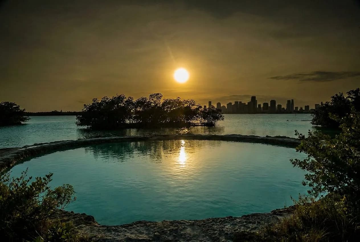 Matheson Hammock's Atoll Pool at Low Tide