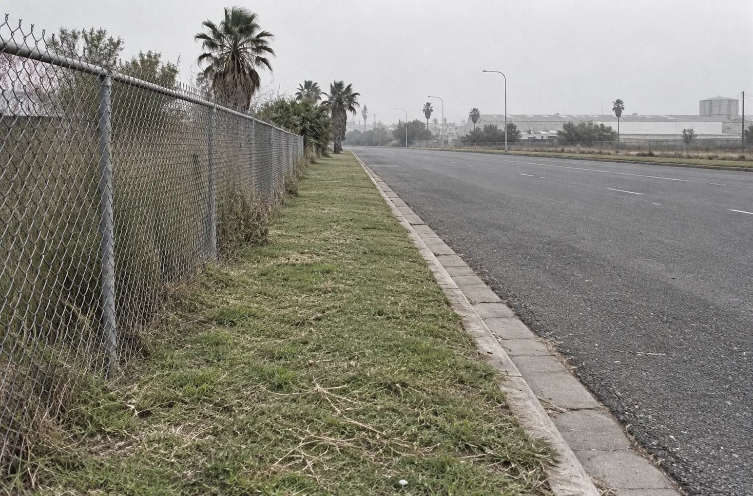 A strip of public lawn beside a road with a chain-link fence