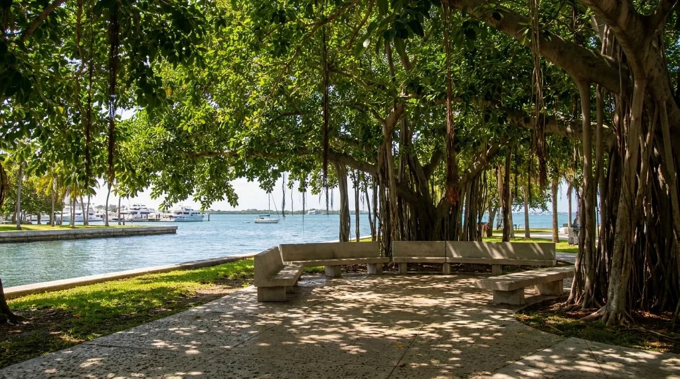 Shaded benches under ficus trees in Bayfront Park, Downtown Miami