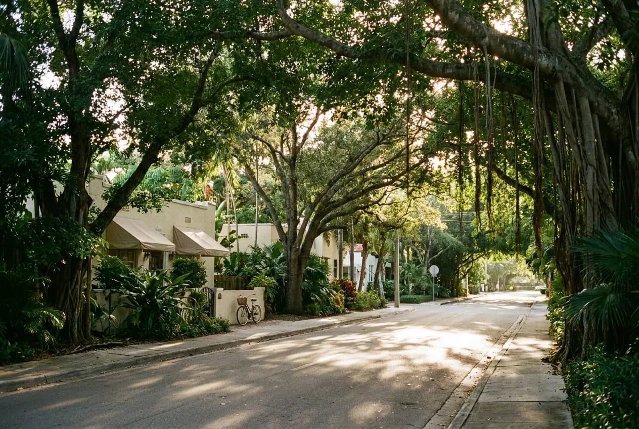 A shaded street in Coconut Grove with dense tropical canopy overhanging low buildings