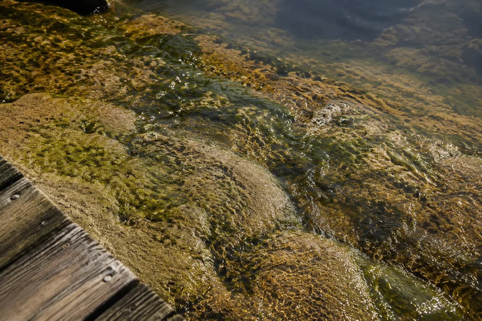 Water flowing over limestone at Anhinga Trail in Everglades National Park, with boardwalk edge visible.