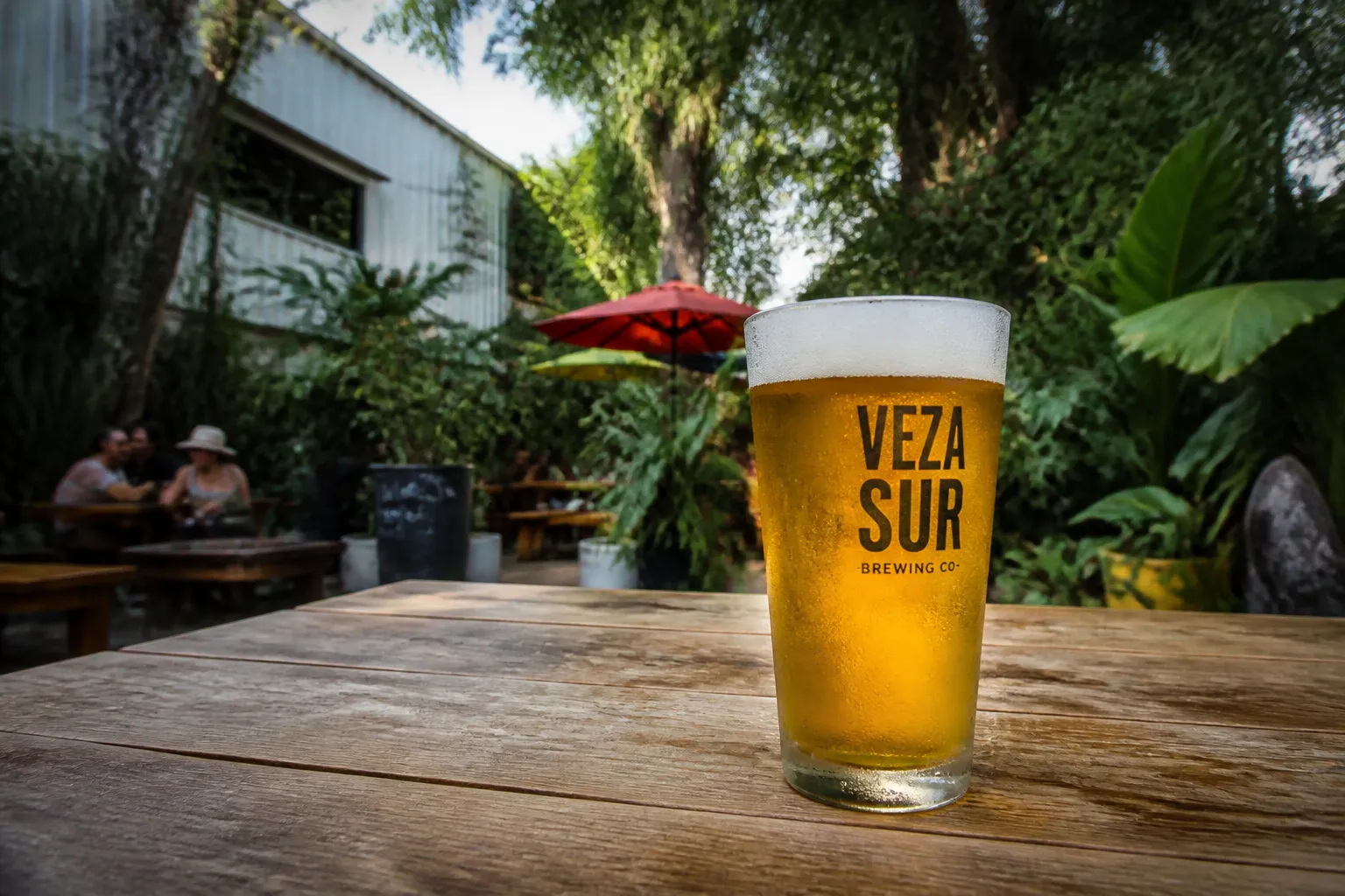 An ice-cold small glass of draft beer on the sunny outdoor patio of Veza Sur brewery.