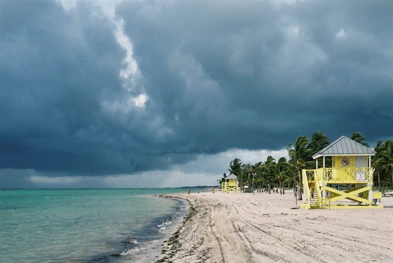Palm-lined shoreline and calm shallow water on a Miami barrier island beach
