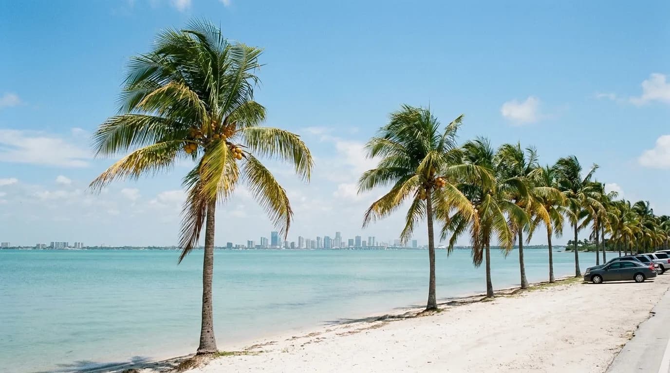 A narrow bayside beach lined with palms on a causeway, the Miami skyline visible across flat blue water.
