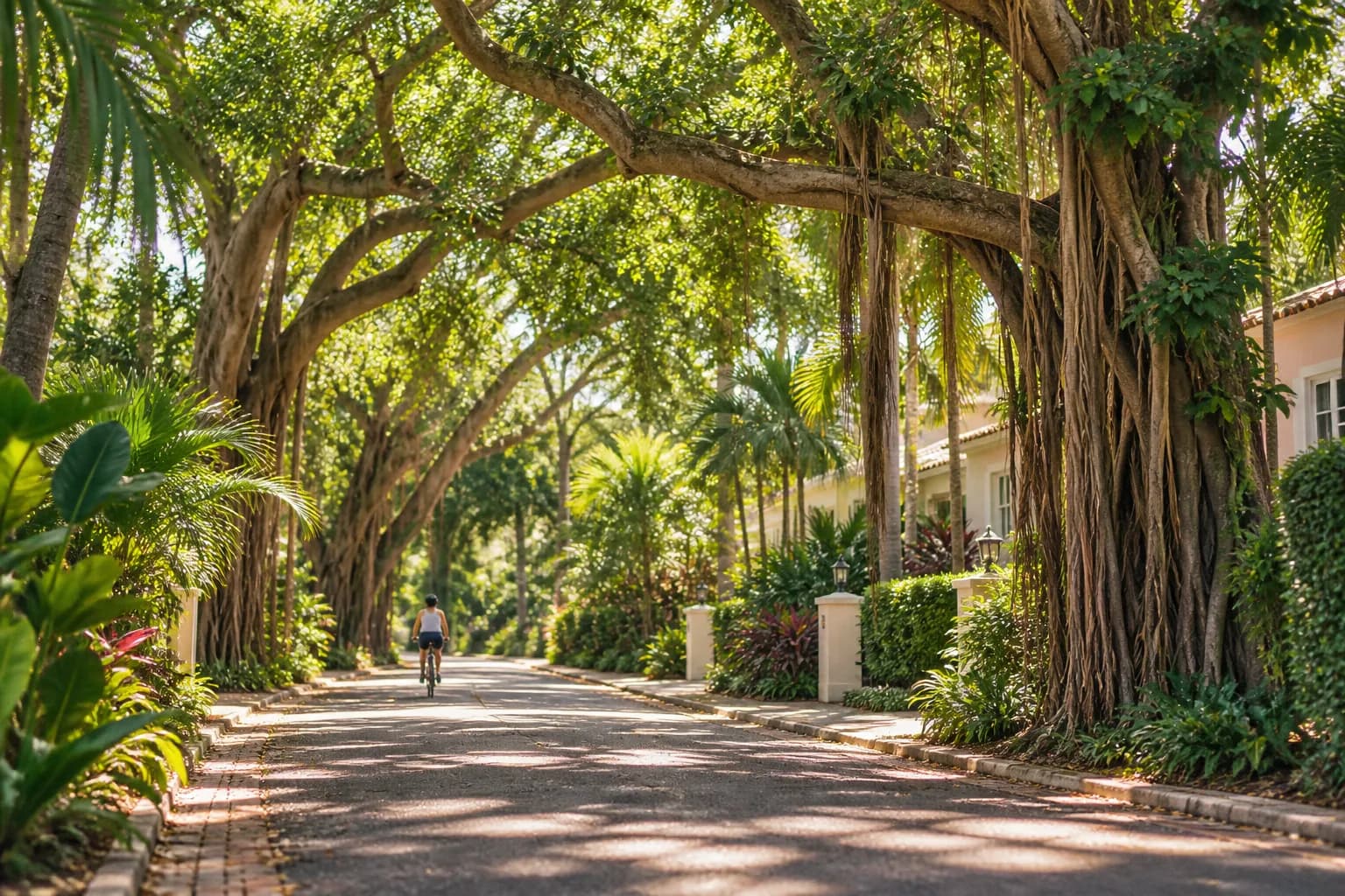 A shaded Coconut Grove street with banyan trees and low buildings