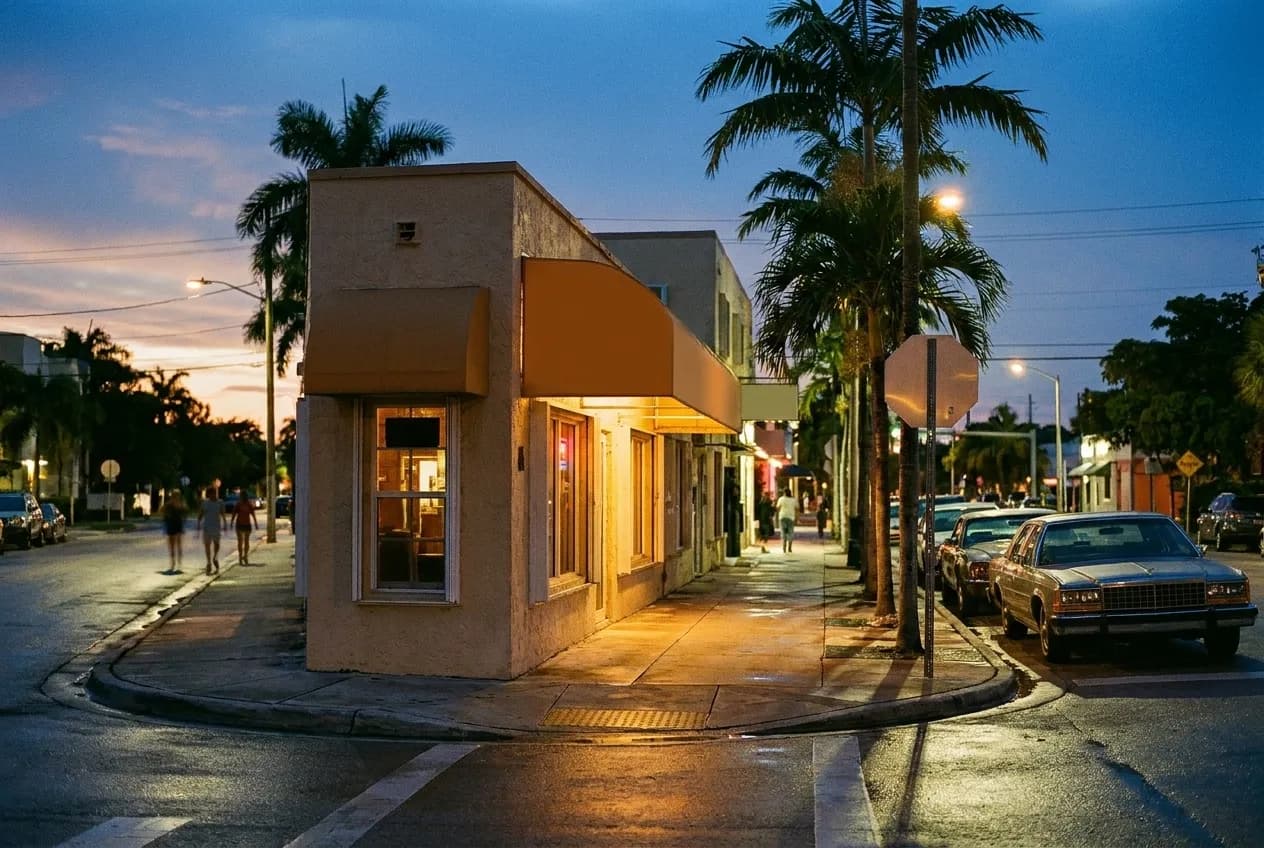 A low neighbourhood street in the early evening, colour still in the sky
