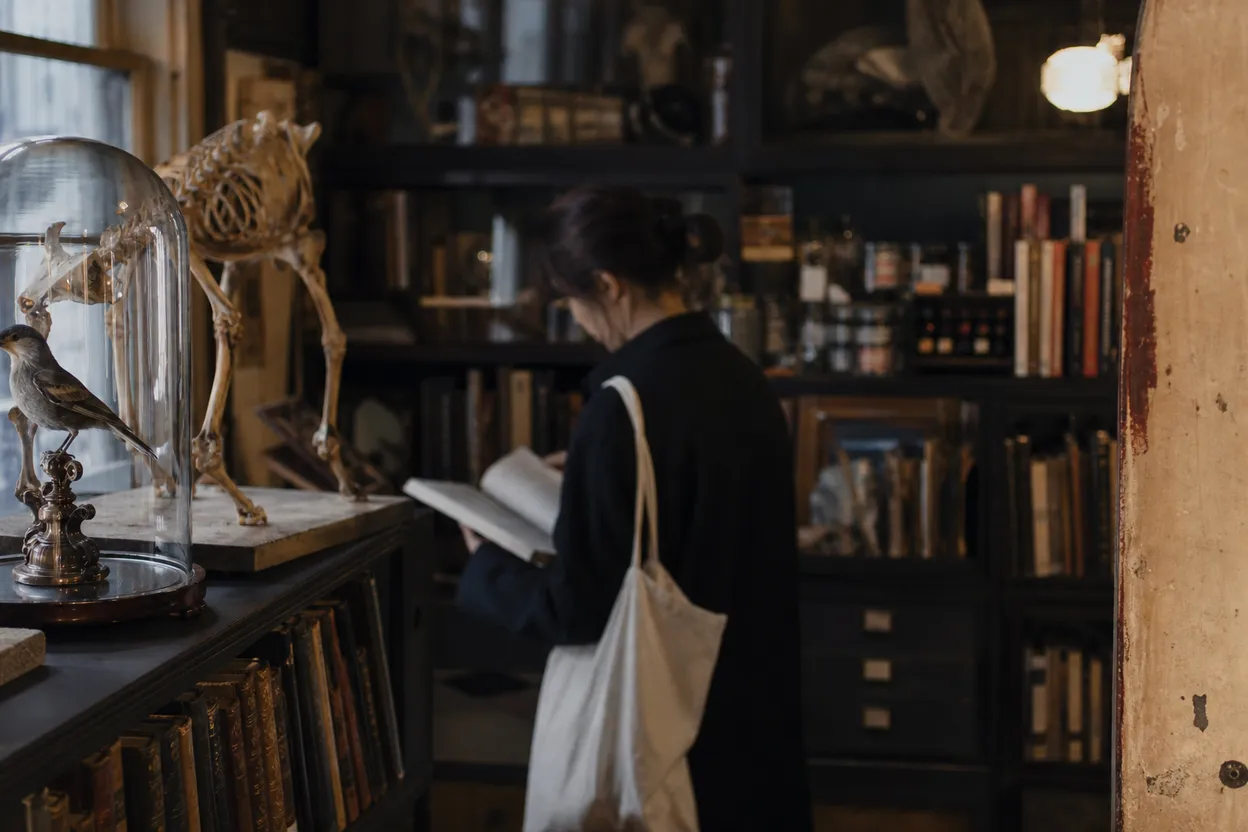 NYC experience scene for Morbid Anatomy Library in Gowanus: A Strange-Books Detour for a Rainy Curiosity Date