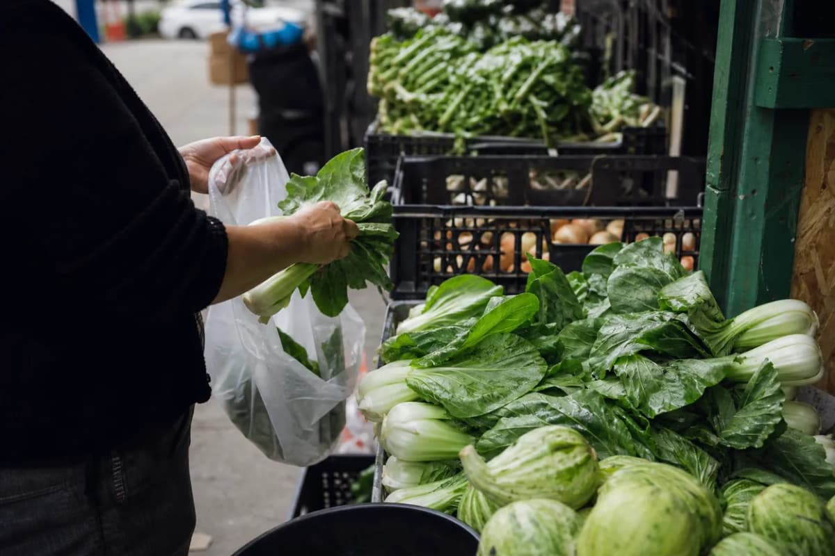 Editorial detail for Mott Haven Fridge Run: A Community-Food Stop Before the Heat Peaks