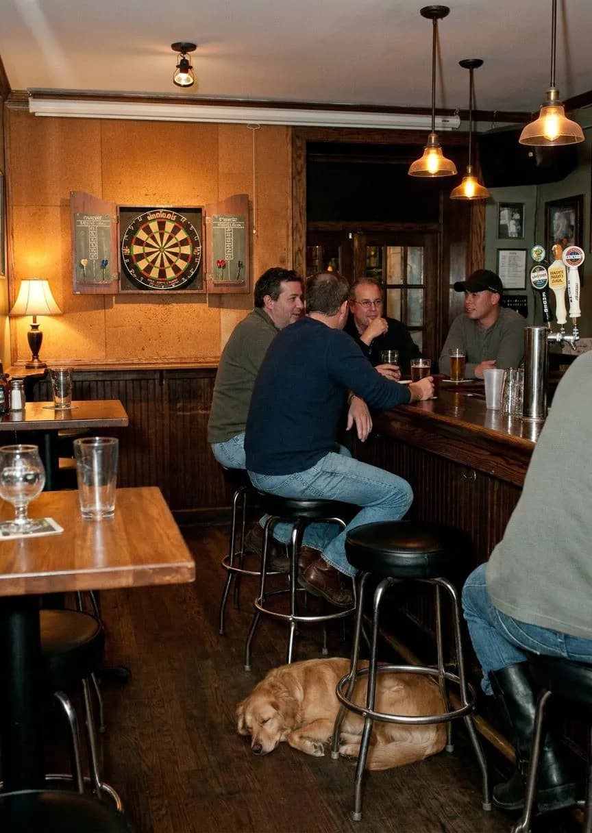 Neighborhood Pubs with Dart Boards and Local Taps in Astoria