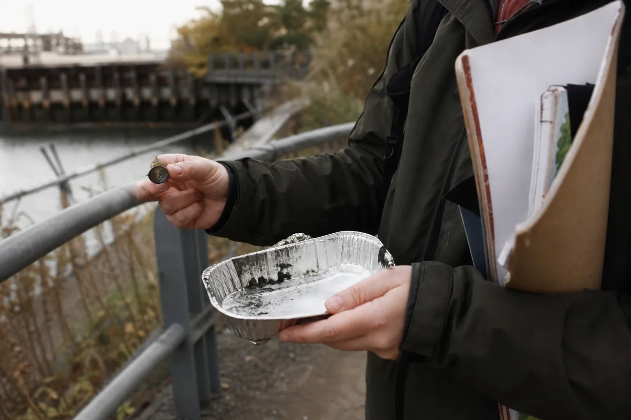 Editorial detail for Newtown Creek Nature Walk: A Free Industrial-Waterfront Reset