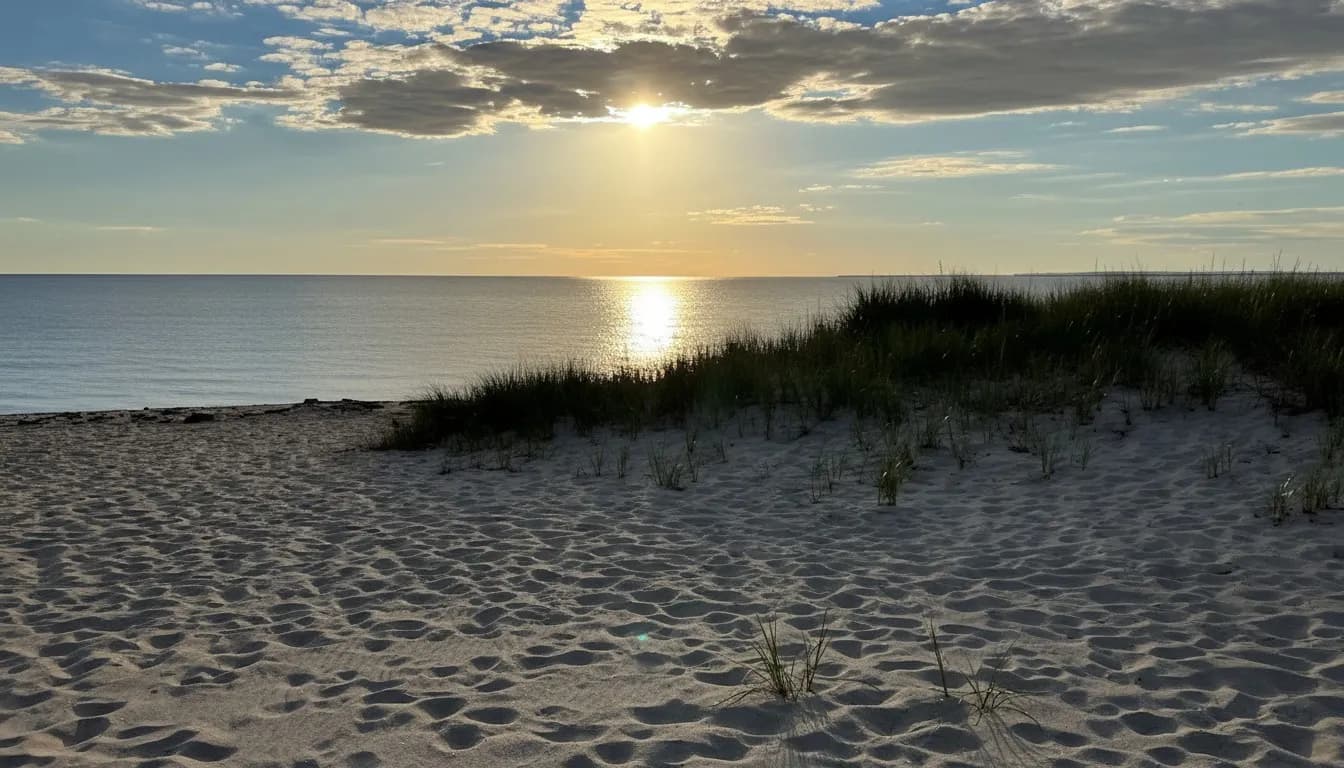 Realistic editorial view of Manhattan Beach Park Eastern Dunes in New York City