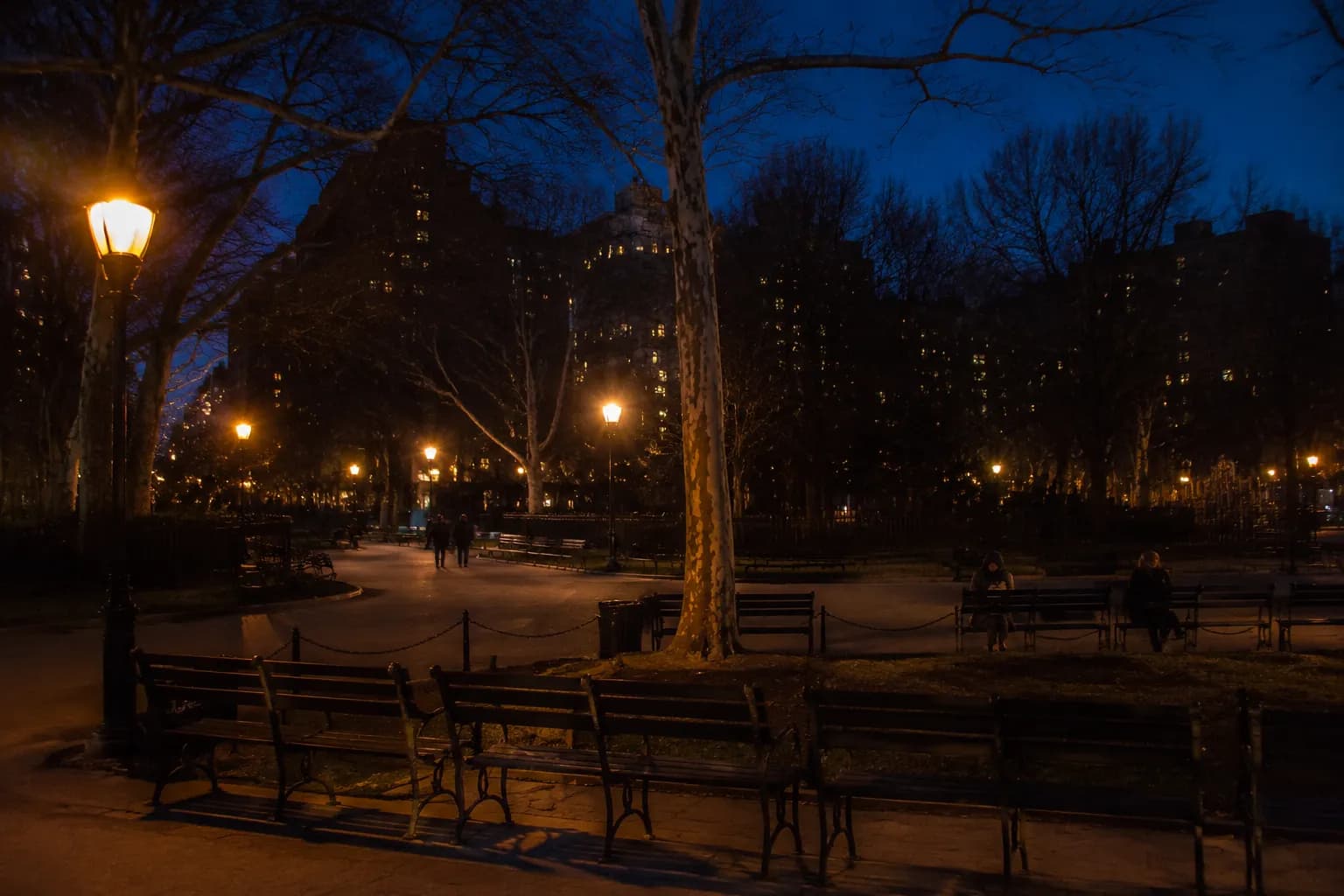 Tompkins Square Park in the East Village at night with benches and lit pathways