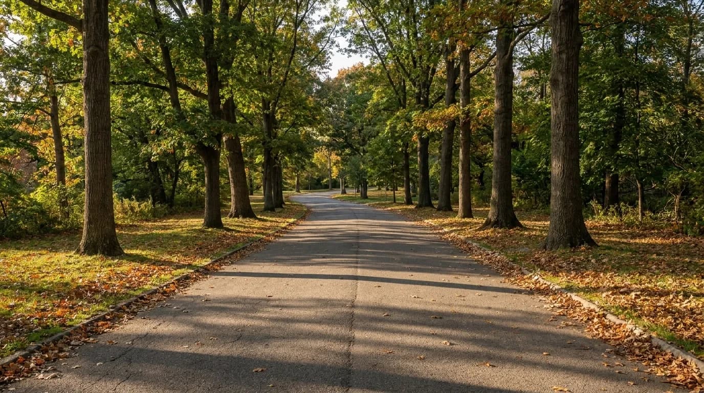 Tree-lined eastern path in Prospect Park on a quiet weekend afternoon