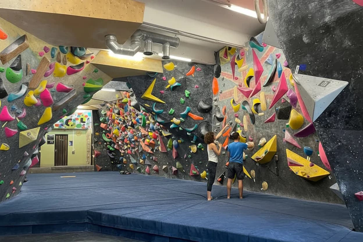 A colorful indoor bouldering wall at a NYC gym