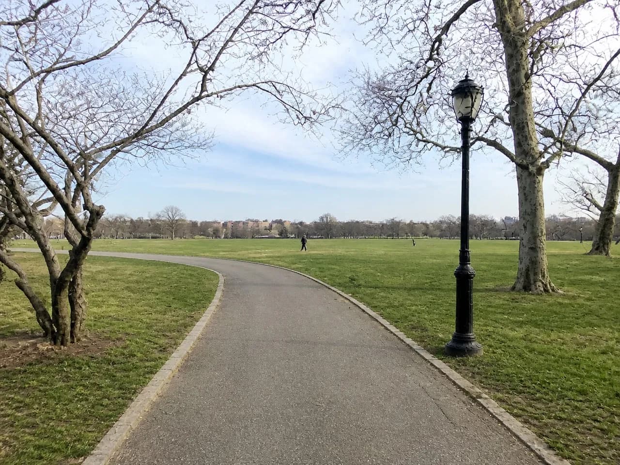 Open park lawn and path in New York with the sky filling most of the frame