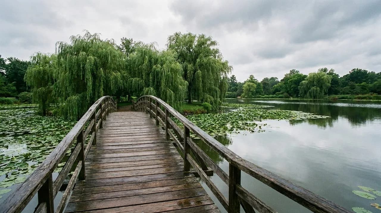 Brooklyn Botanic Garden's Free Saturday Mornings in May