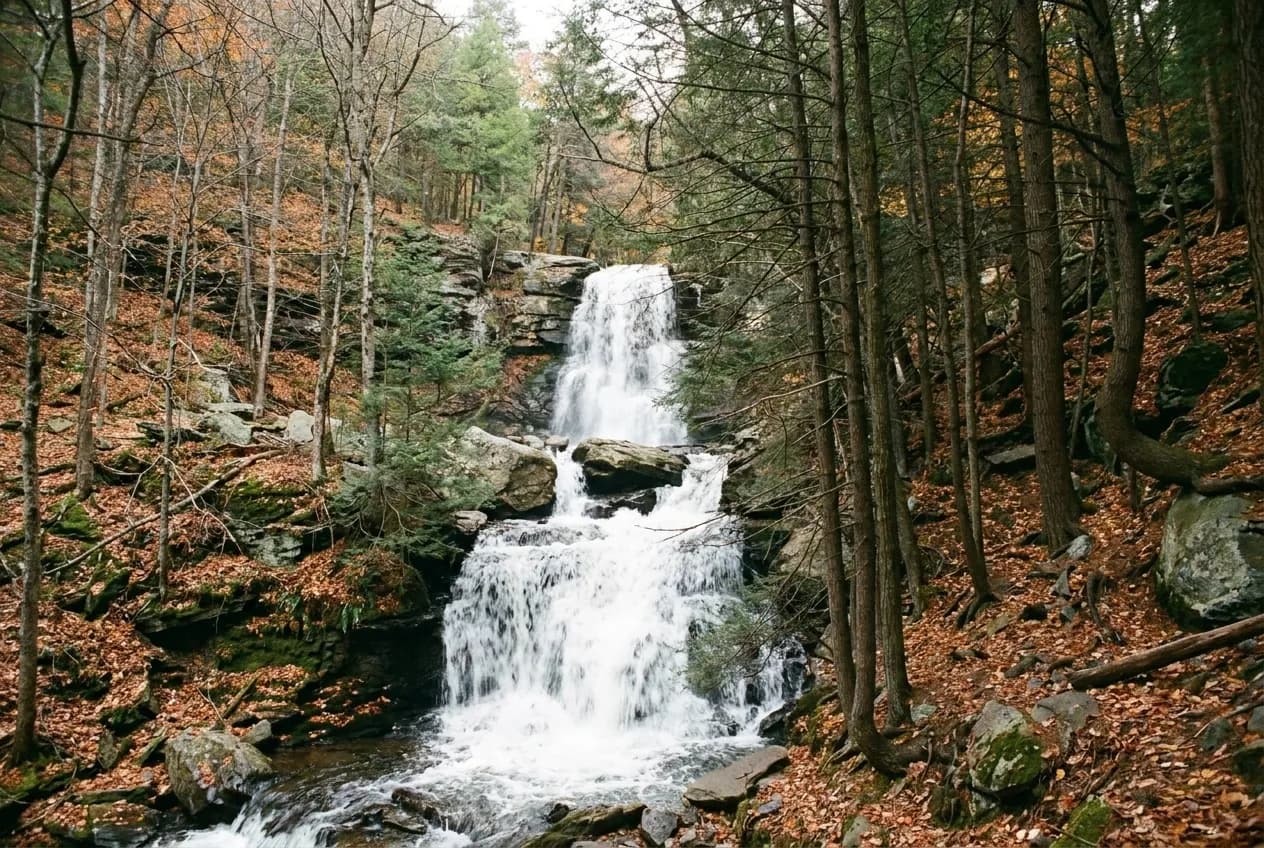 Tall two-tier waterfall dropping through autumn woodland in the Catskills