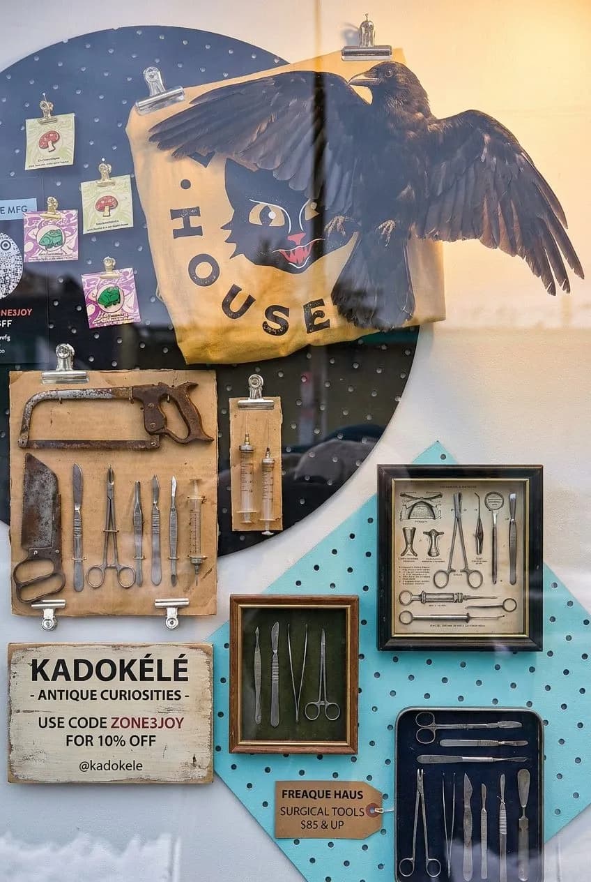 Taxidermy and Curiosity Shop in Greenpoint Worth the Walk