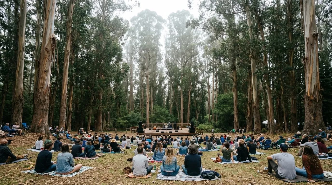 An outdoor concert in a eucalyptus grove, an audience seated on a sloping lawn facing a stage with tall trees and low fog above the canopy