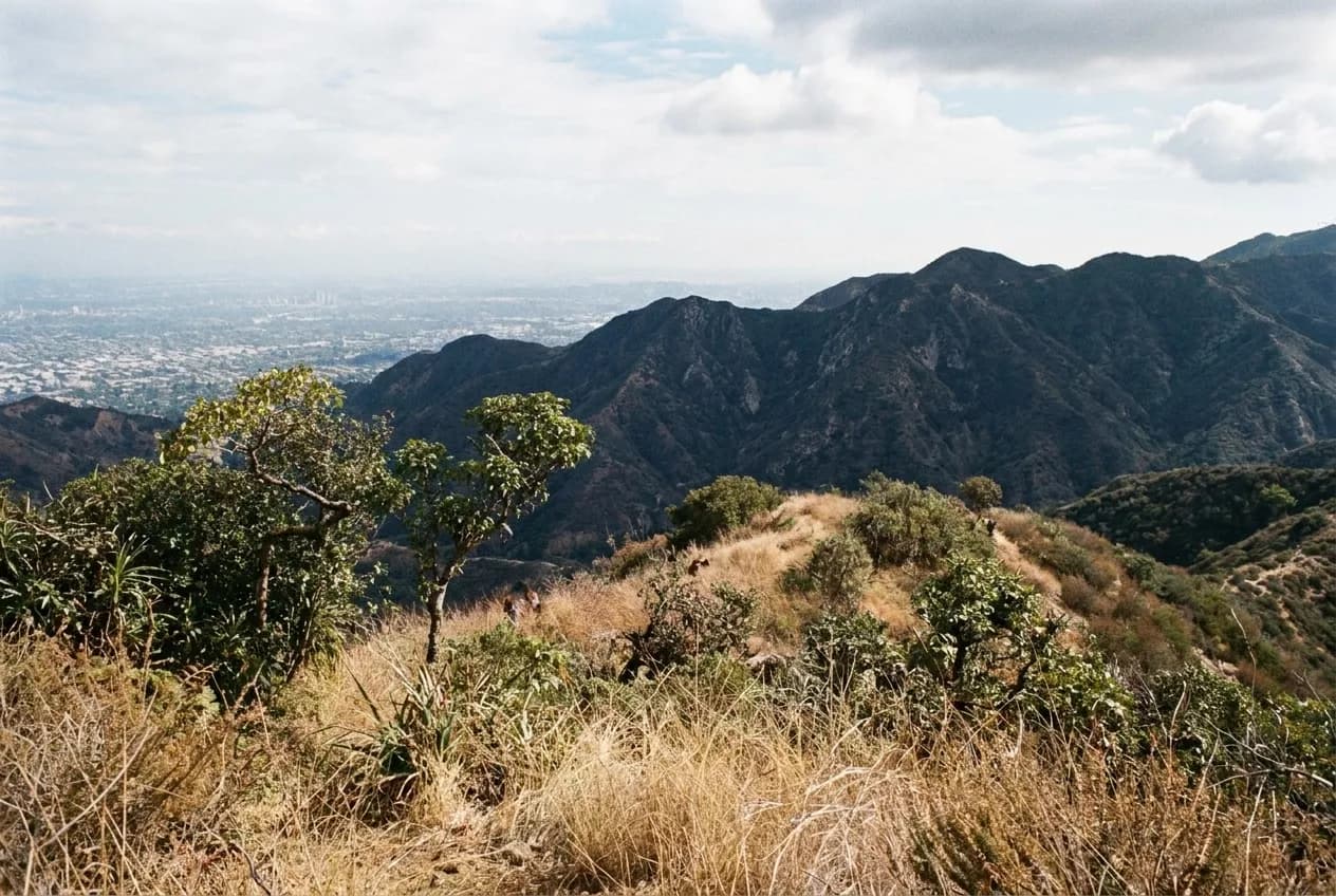A ridgeline trail with dry grass and distant city haze below