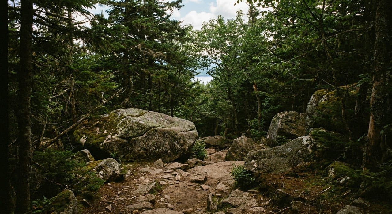 The Split Rock Trail in Pelham Bay Park Climbs to Views Nobody Associates With the Bronx - cover image
