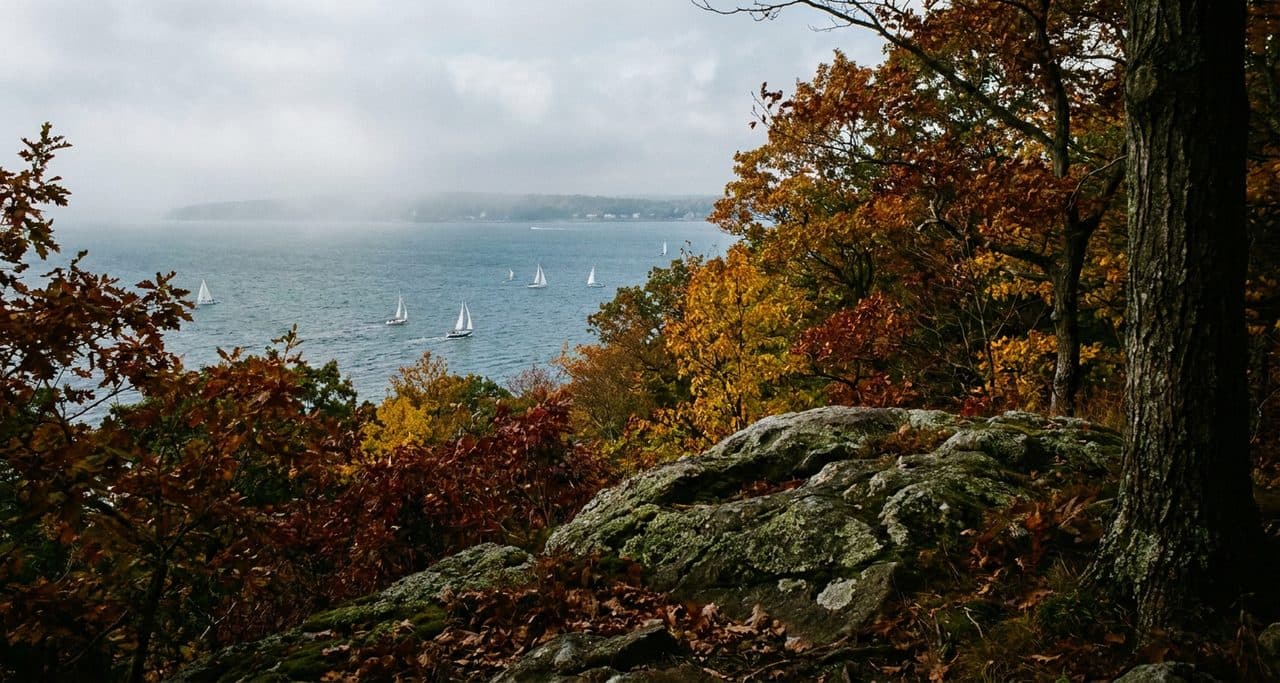 The Split Rock Trail in Pelham Bay Park Climbs to Views Nobody Associates With the Bronx - scene
