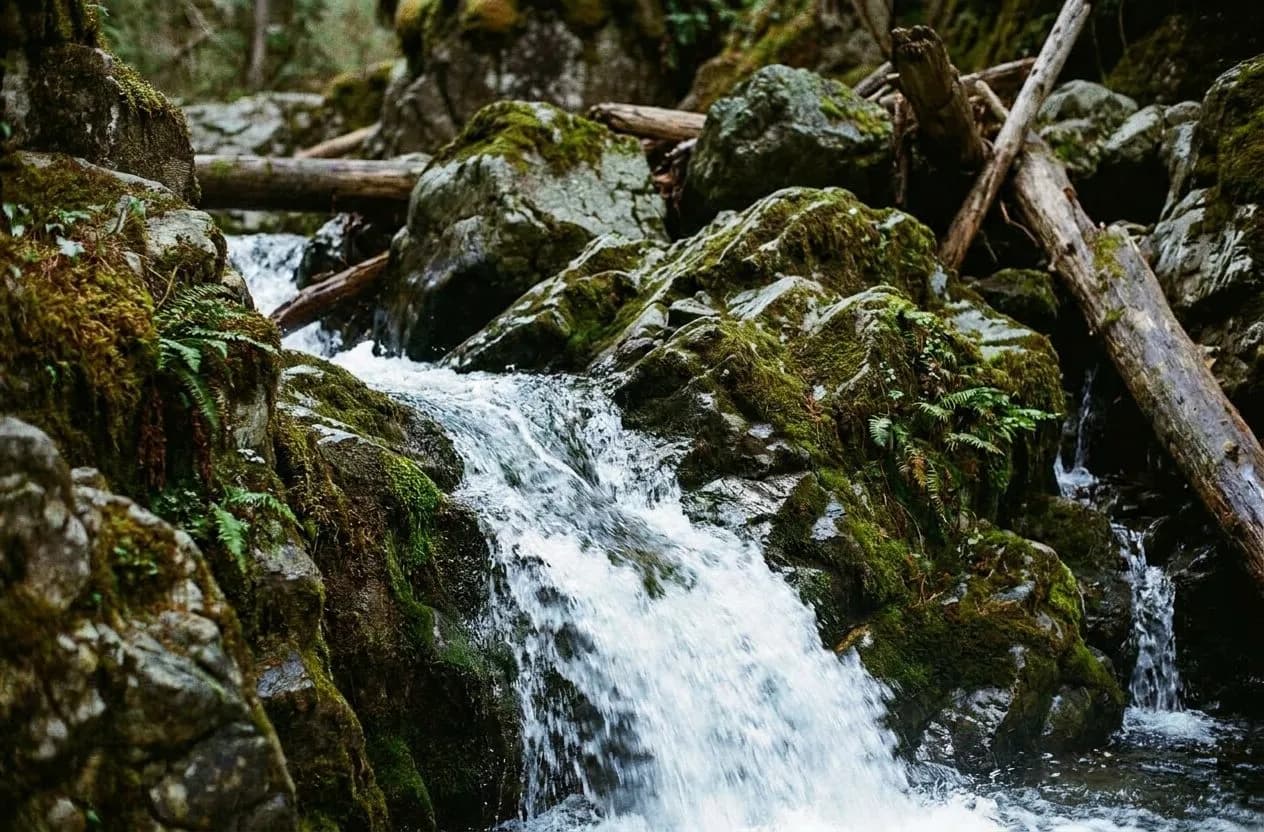 Prospect Park Ravine Falls and Ambergill Stream Loop