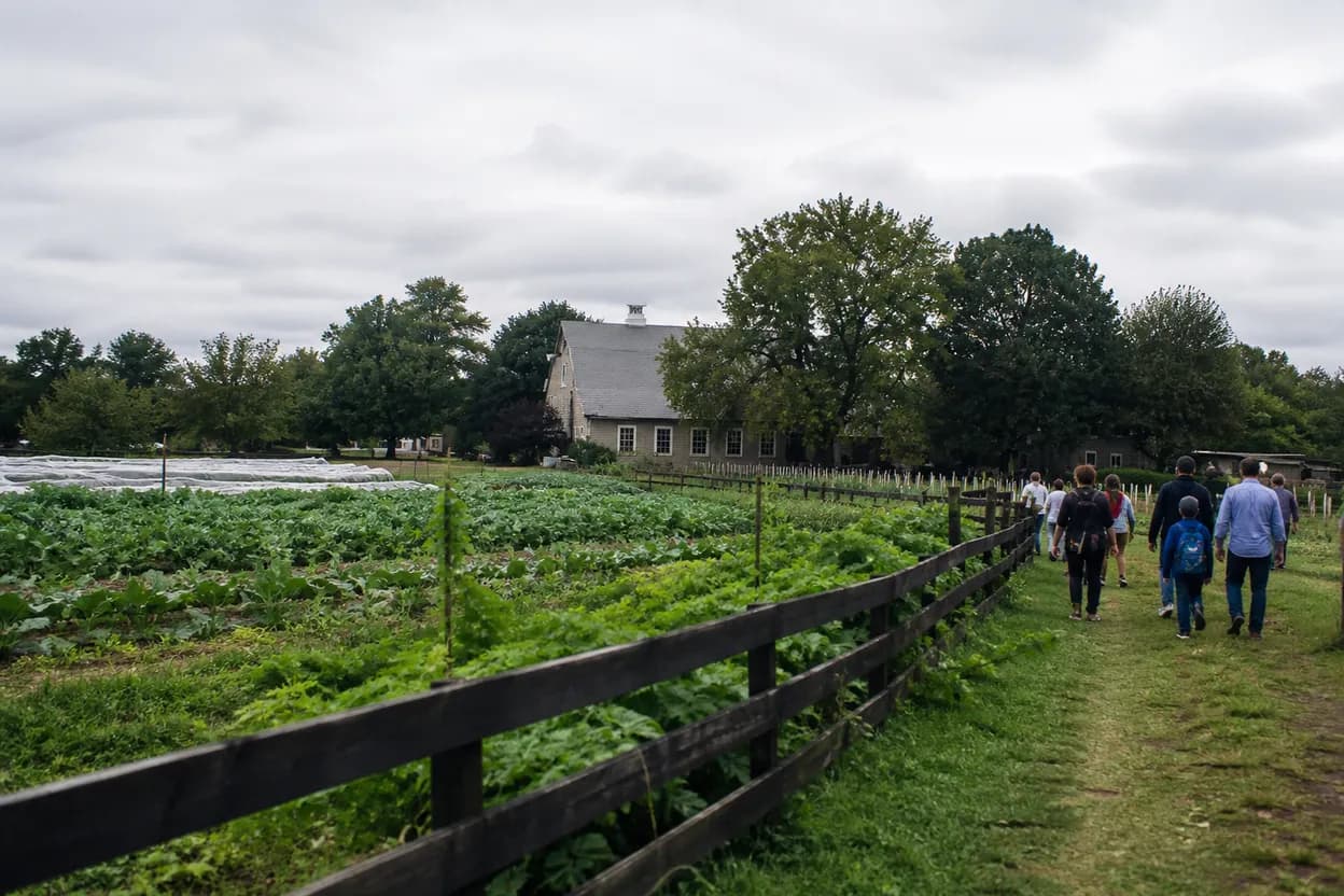 Cover scene for Queens County Farm Museum Farmstand Morning: A Low-Lift Weekend Plan for Fresh Produce and Shade
